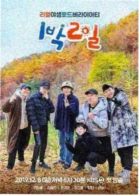 自由诗